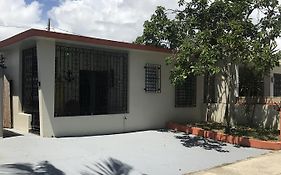 Joe Apartment